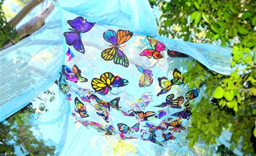 Butterfly073.jpg