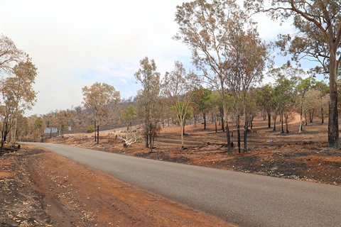 Aftermath of Cobraball bushfires in 2019.jpg