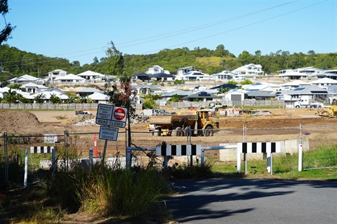 Bottlebrush end.jpg