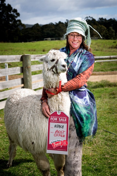 GST_dog Llama.jpg