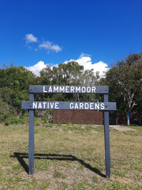 Lammermoor Native Gardens