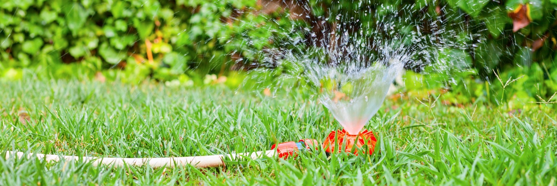 Water sprinkler
