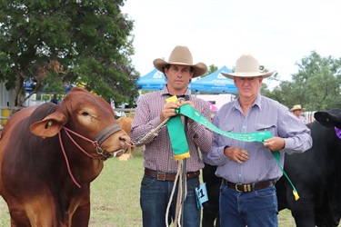 Two people in cowboy hats and checkered shirts holding a green ribbon next to a brown cow, with another cow and tents in the background.