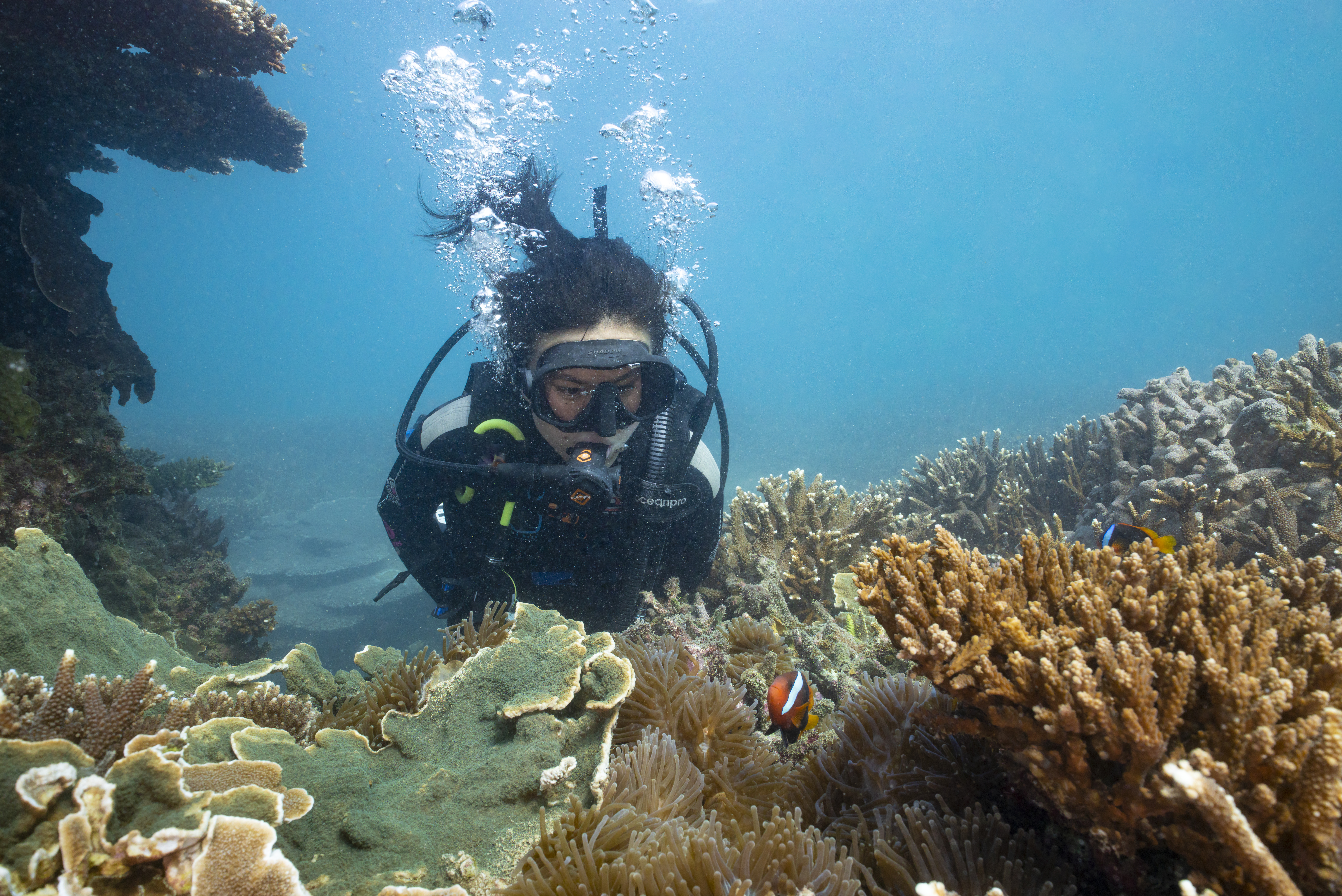 Scuba Diving