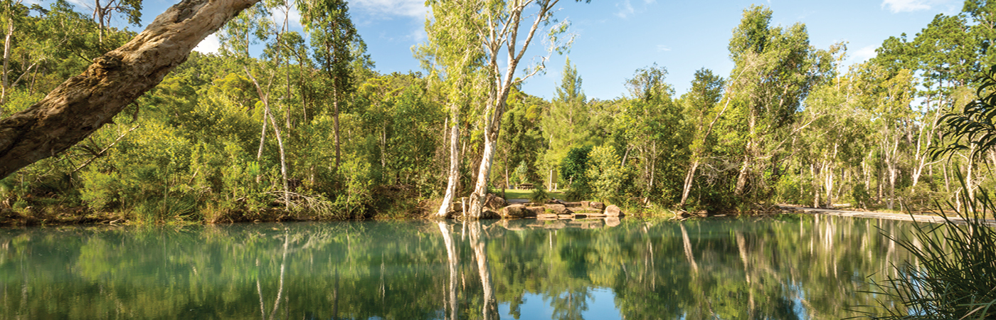Catchment
