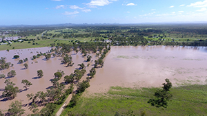 Flood