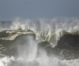Tsunami