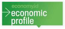 Economic profile image