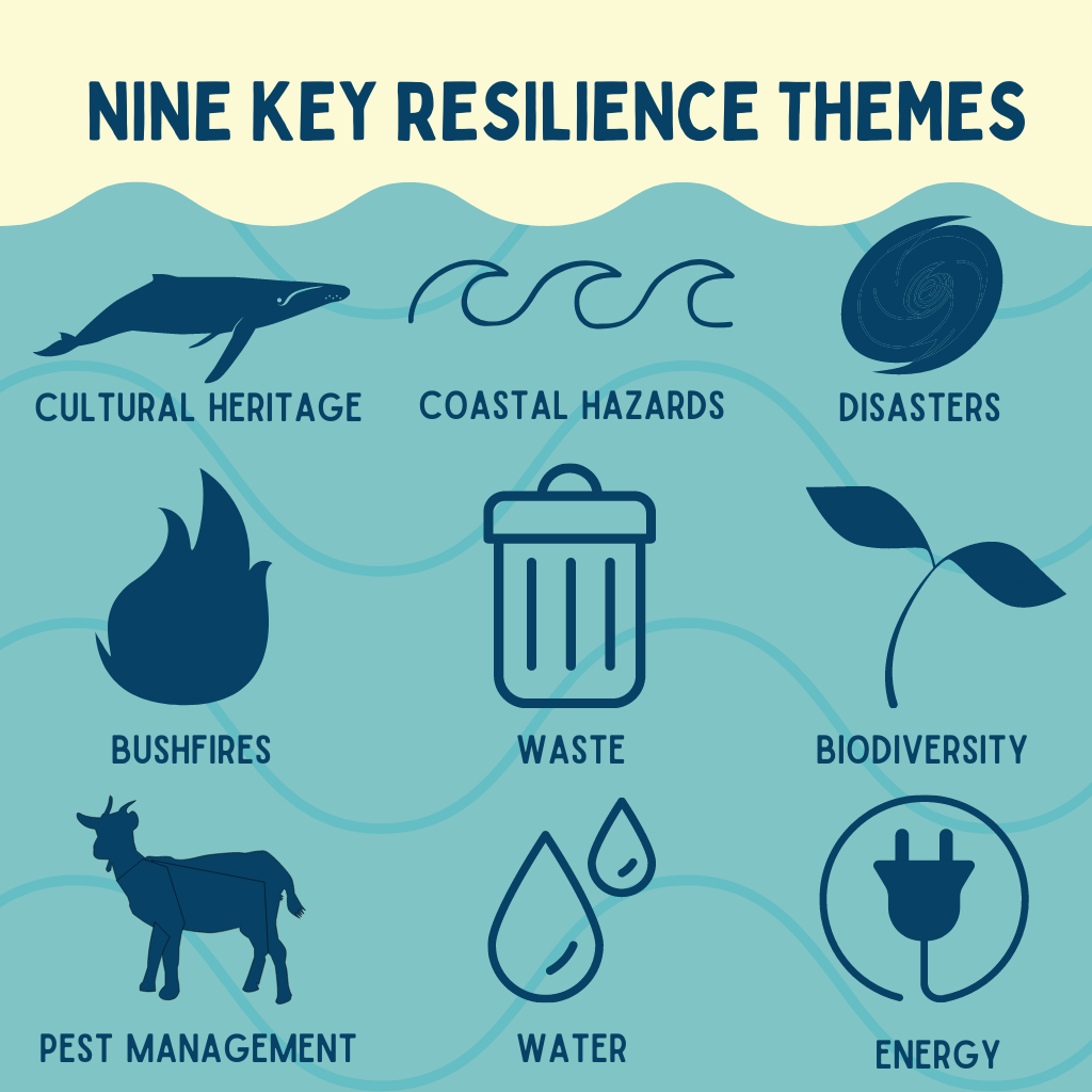 Key resilience themes