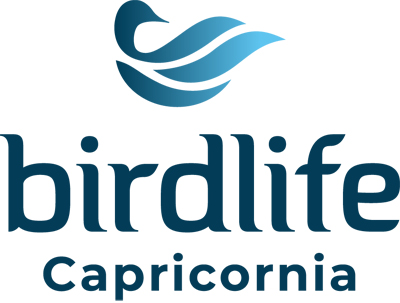 birdlife