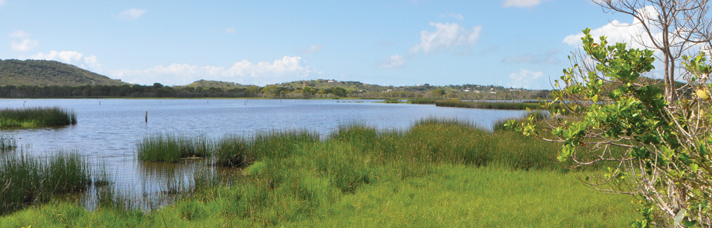 Website header our wetlands